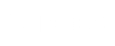 Logo Funcesi